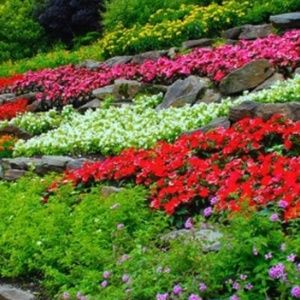 Meet your Posher, Serena